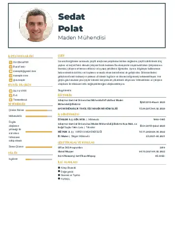 Maden Mühendisi Cv Örnekleri cv indir